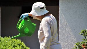 curso de jardinería y embellecimiento ornamental en infotep, curso de jardinero gratis, curso de jardinería para principiantes, curso de jardinero gratis, cursos jardineria gratis, curso de jardineria presencial, curso diseño de jardines, curso de jardineria y mantenimiento de areas verdes