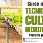 tecnicas de cultivo hidropónico curso gratis de infotep hidroponia