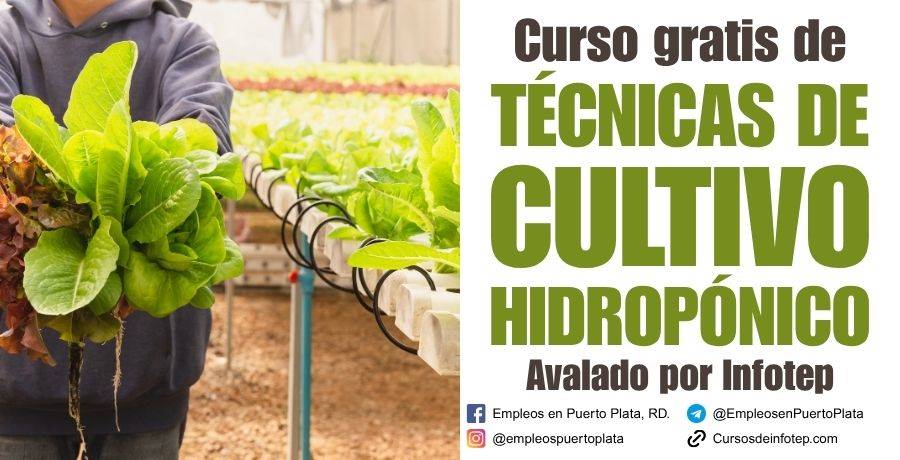 tecnicas de cultivo hidropónico curso gratis de infotep hidroponia